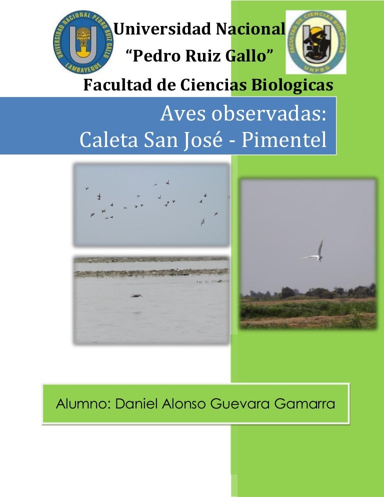 El Zarapito Plateado Pdf